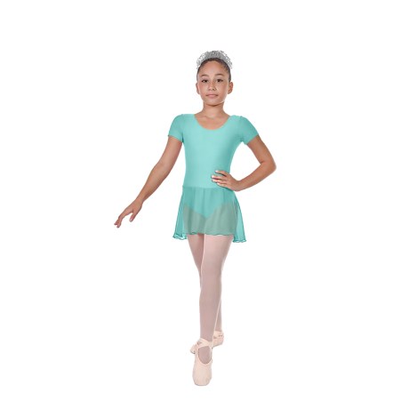Girls Short Sleeved Leotard With Skirt, Lycra Matt Frozen
